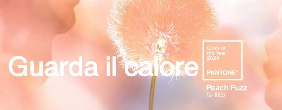I trend per i loghi nel 2024 2 pantone 2024